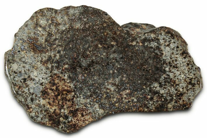 Chondrite Meteorite Section ( g) - NWA #347092